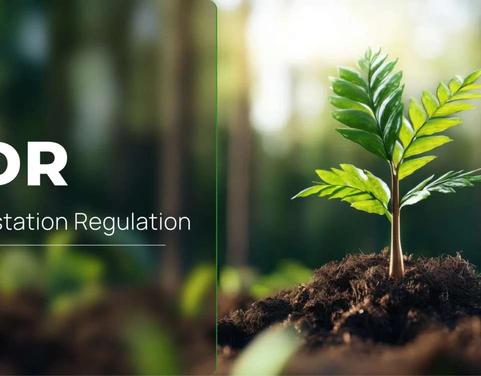A featured image of EUDR